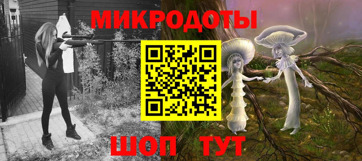 Галлюциногенные грибы Psilocybe Ростов-на-Дону