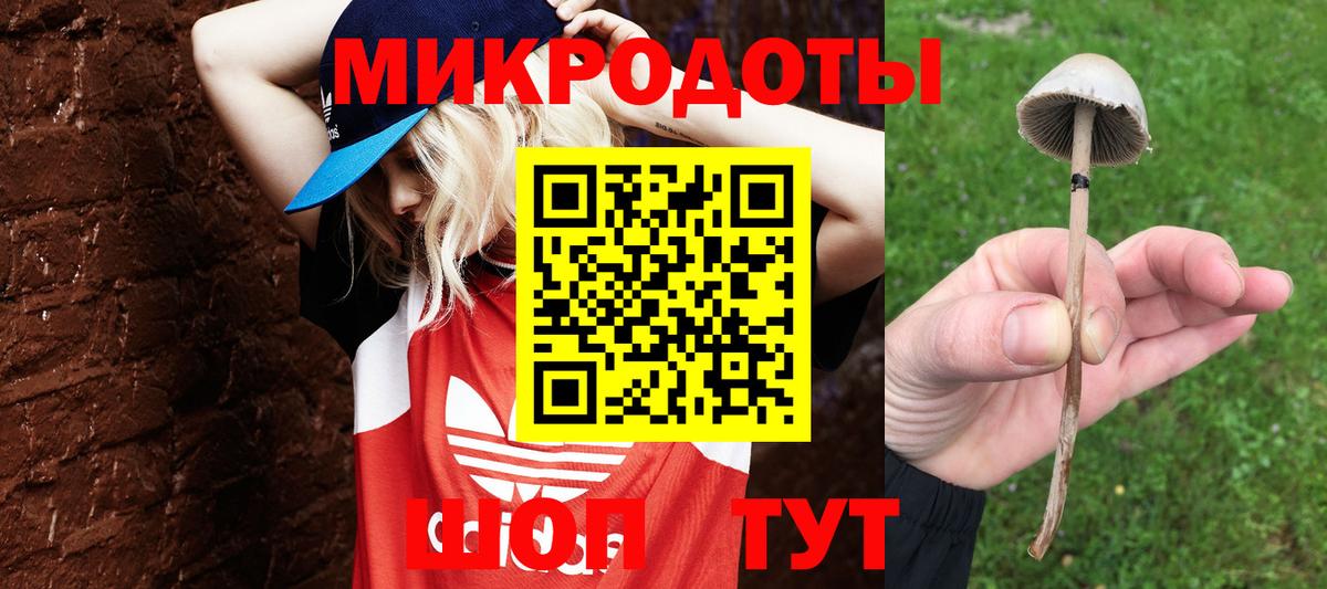 Ростов-на-Дону  Галлюциногенные грибы Magic Shrooms  Вход с VPN 